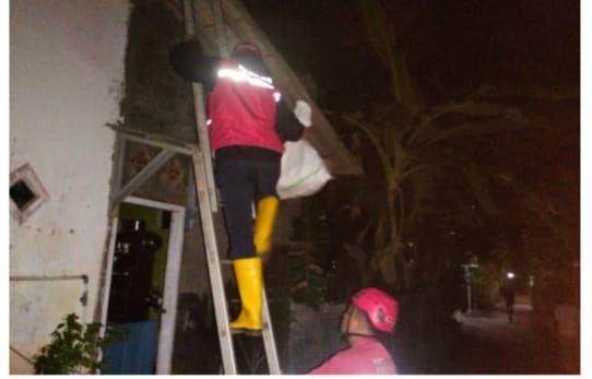 Pria di Kroya Meninggal Dunia Usai Disengat Lebah Vespa Saat Bersihkan Toren