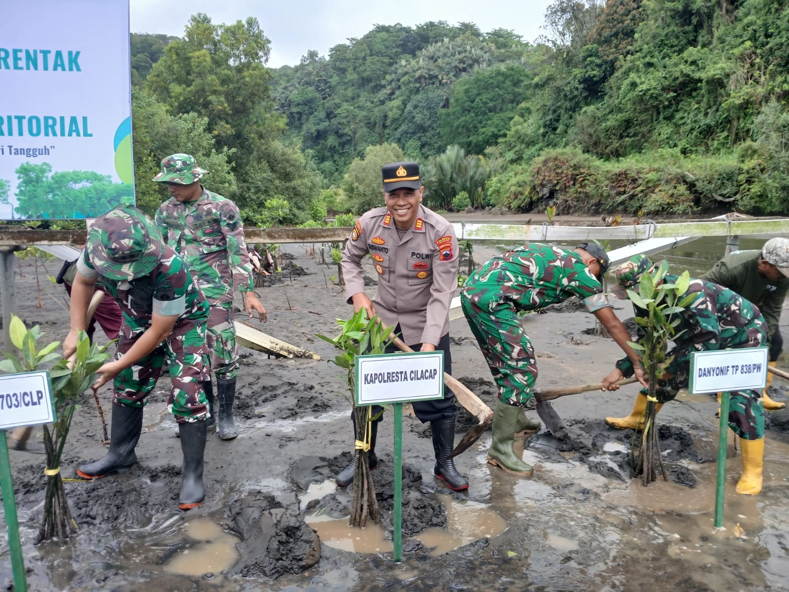 Kapolsek Adipala dan Forkopimda Tanam Mangrove di Gunung Selok, Perkuat Kelestarian Pesisir